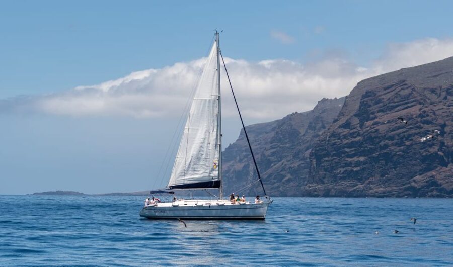 Los Gigantes: Private Sailing Tour with Swim, Drink, & Tapas - Is $765 Good Value for Your Group?