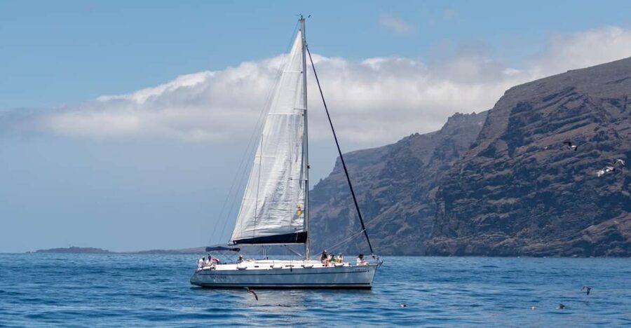 Los Gigantes: Sailing Excursion with Swimming, Drink & Tapas - Sailing beneath the red cliffs