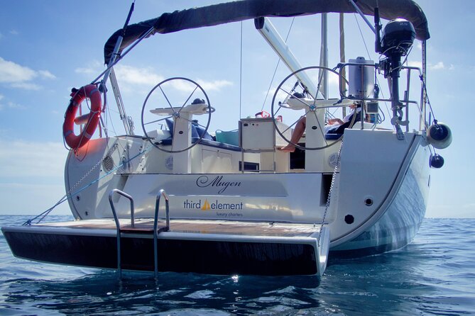 Los Gigantes Whale Watching Charter by Sail Boat - Sandwiches, fruit, and drinks on board