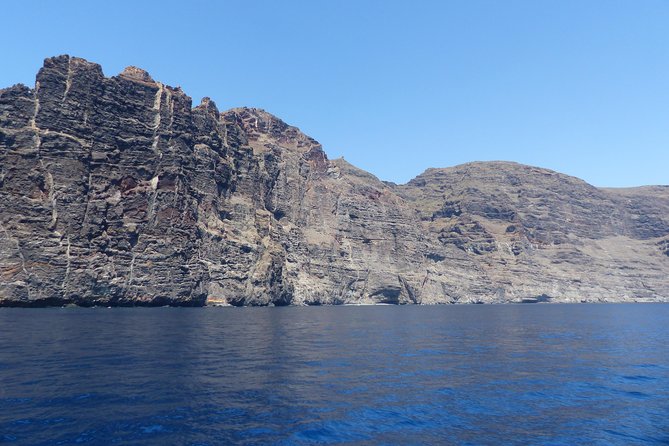 Los Gigantes Whale Watching Charter by Sail Boat - Who will enjoy this outing most