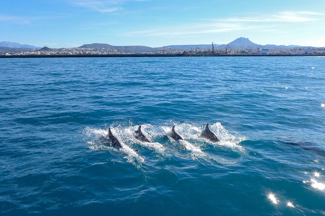 Luxury escape Sailing, shared from Hersonissos or Heraklion port - Sailing from Crete toward Dia Island