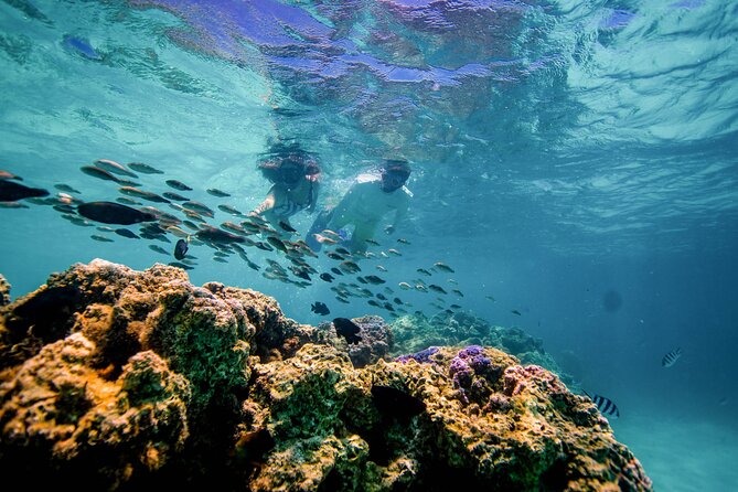 LUXURY PRIVATE Catamaran Bora Bora : Half-Day Trip - Who should book this experience?