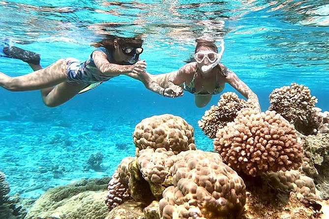LUXURY PRIVATE Catamaran : Full-Day Sail & Polynesian Motu Lunch - A Polynesian lunch on a private islet