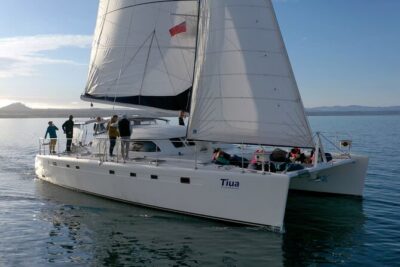 Luxury Sailing – Māori Rock Carvings – Taupo Sailing Adventures