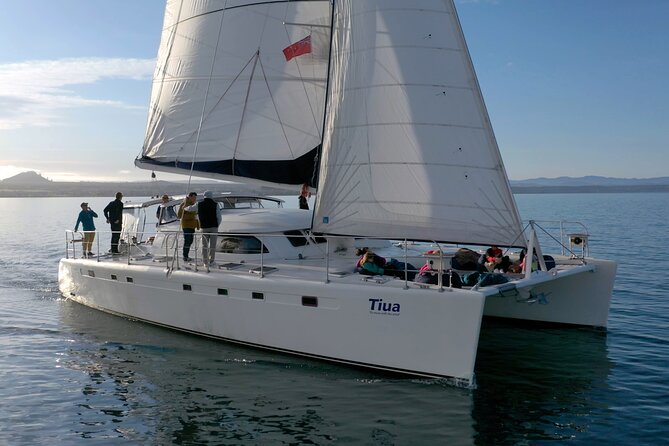 Luxury Sailing - Māori Rock Carvings - Taupo Sailing Adventures - Setting out from Taupo Marina