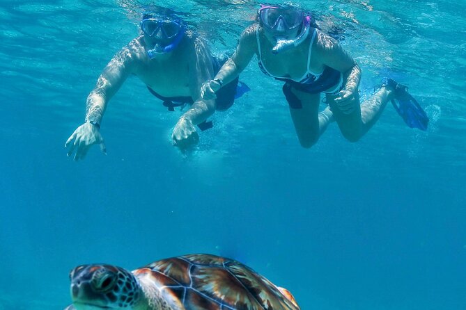 Luxury Sailing & Snorkeling Experience from Riviera Maya - Setting sail from the Riviera Maya