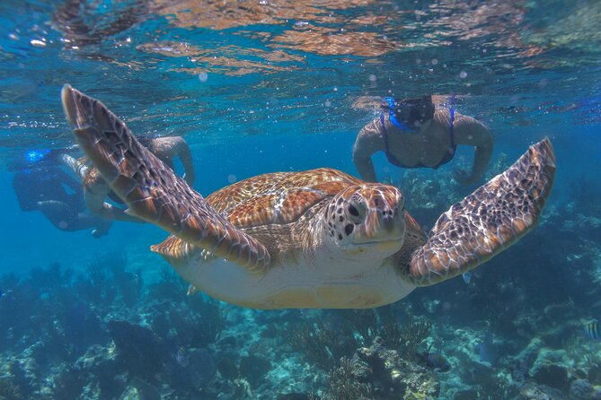 Luxury Sailing & Snorkeling Experience from Riviera Maya - Standup paddleboarding beside the catamaran