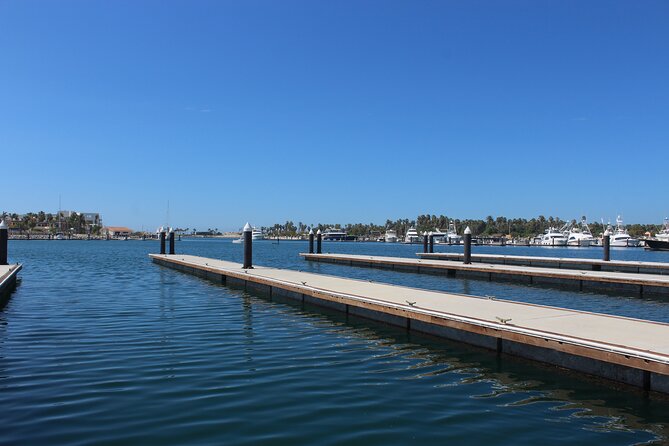 Luxury Snorkel Tour in Sailing Catamaran - Who Will Get the Most From This Tour?