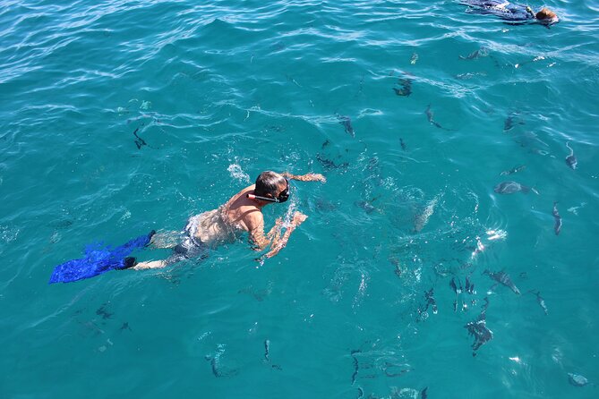 Luxury Snorkel Tour in Sailing Catamaran - Why Chileno Bay Is the Main Attraction