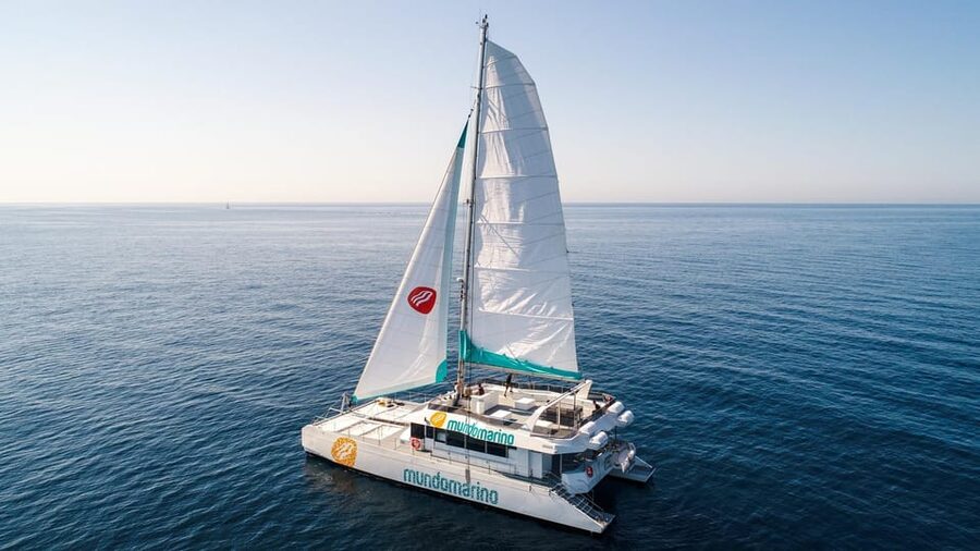 Malaga: Catamaran Sailing Cruise with Swimming & Optional DJ - DJ music, drinks, and the changing atmosphere onboard