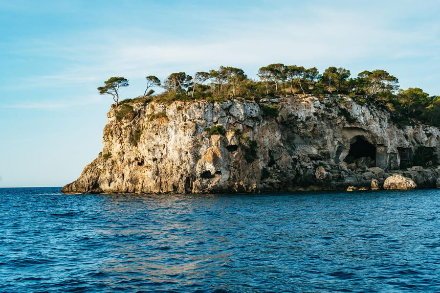Mallorca: Midday or Sunset Sailing with Snacks and Open Bar - Morning, Midday, or Sunset: Which Departure Works Best?