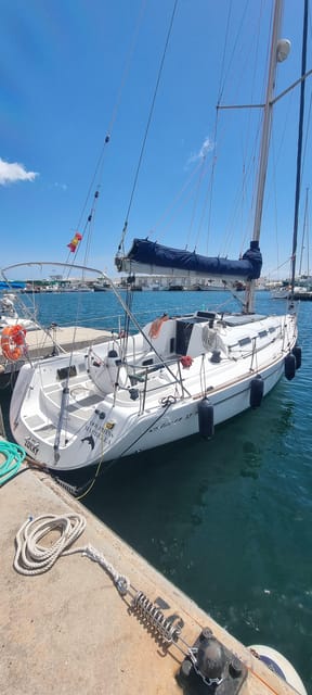 Marbella: Dolphin-Watching Sailboat Trip with Drinks, Snacks - Drinks, fruit, and the onboard mood