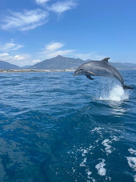 Marbella: Sailing & Dolphin Watching with Snacks and Drinks - Leaving Puerto Banús from Pier 4