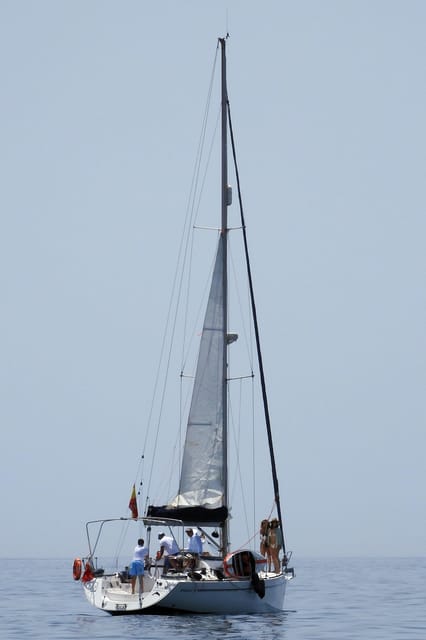 Marbella: sunset sailboat trip Drinks-Snacks,2 hour - Swimming, paddle surf, fishing, and dolphin watching