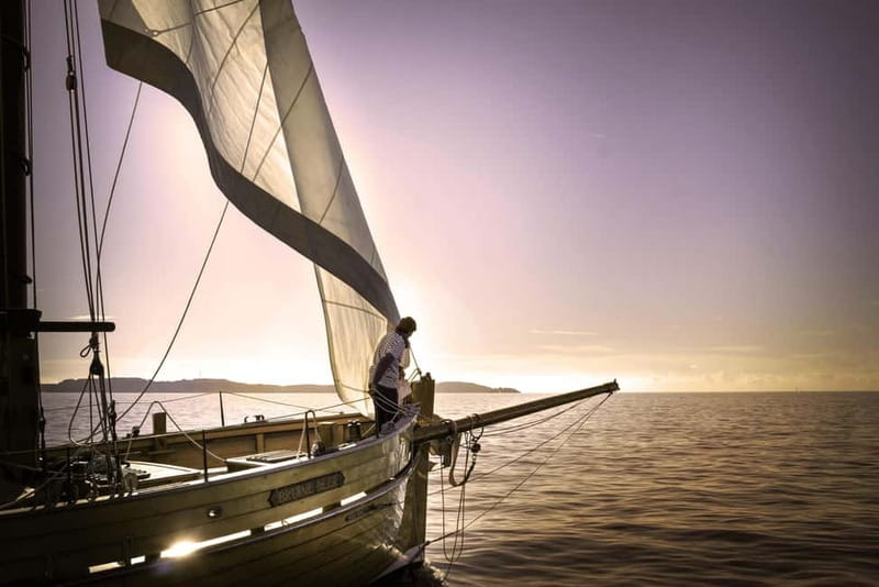 Marseille: Evening sailboat trip to the Calanques du Frioul with buffet and organic wine - Key things to know before sailing