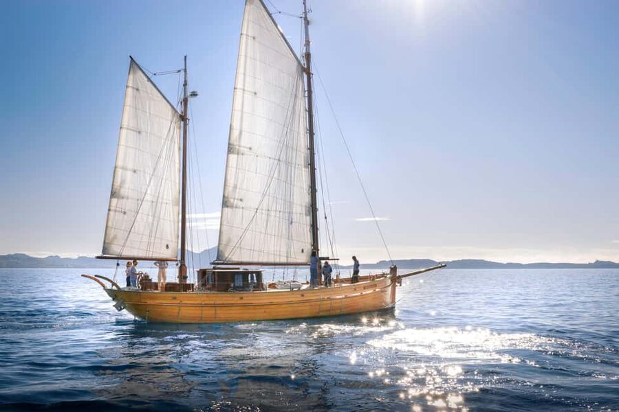 Marseille: Half-day sailing + snorkeling in the Calanques - Key points to know before booking
