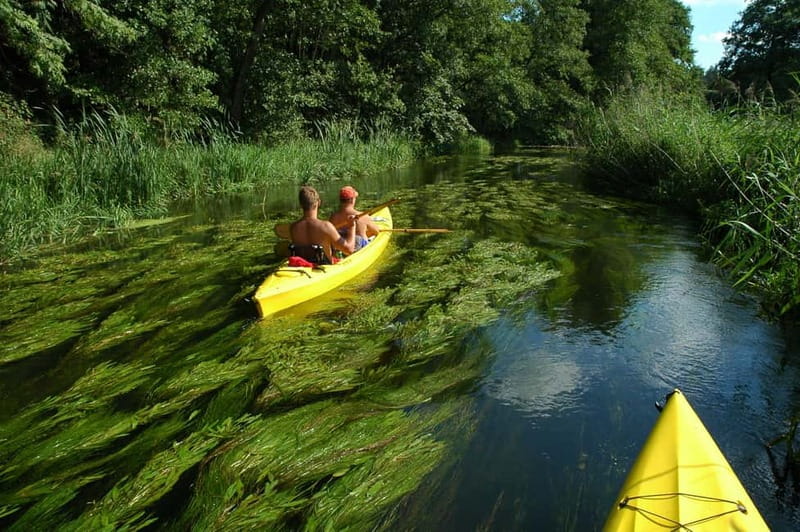 Masurian Lake District: Canoe and Sailing Tour from Warsaw - Three Calm Hours on the Krutyń River