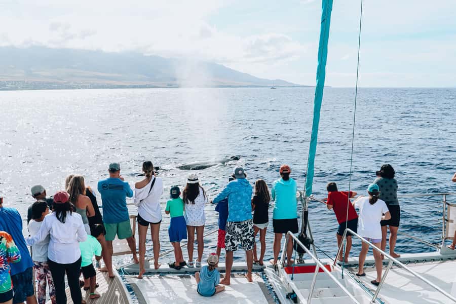 Maui: Ka'anapali Whale Watching Cruise on Luxury Sailboat - Snacks, Kona coffee, and the open bar