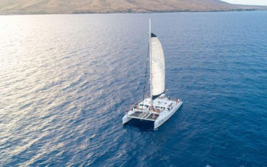 Maui: Luxury Catamaran Whale Watch & Sail - Two hours with the whales, not a packed activity list