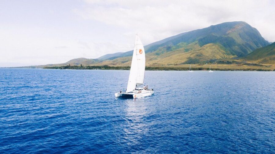 Maui: Midday Sail with the Whales Māʻalaea Harbor - Booking Details That Matter