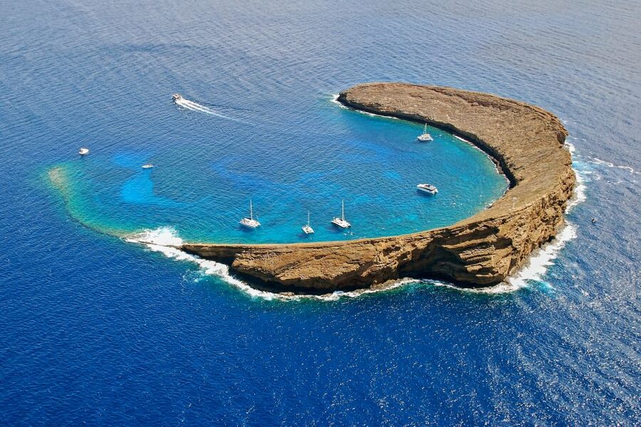 Maui: Molokini Snorkel and Performance Sail with Lunch - What you may see below the surface