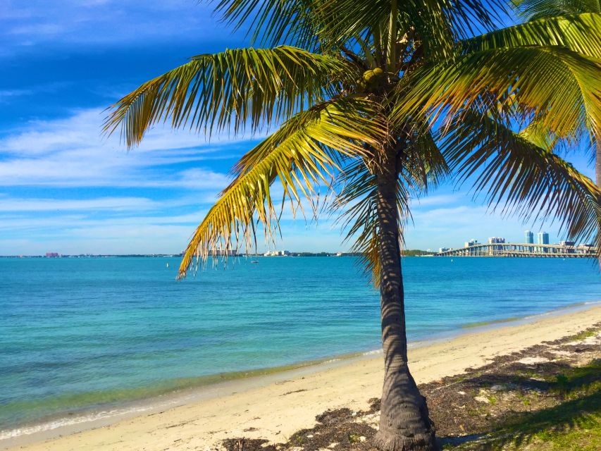 Miami: Hobie Cat Sailing - Taking the Helm on a Hobie Wave