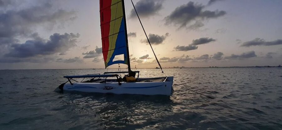 Miami: Intimate Sailing in Biscayne Bay w/ Food and Drinks - Wildlife watching without a guarantee