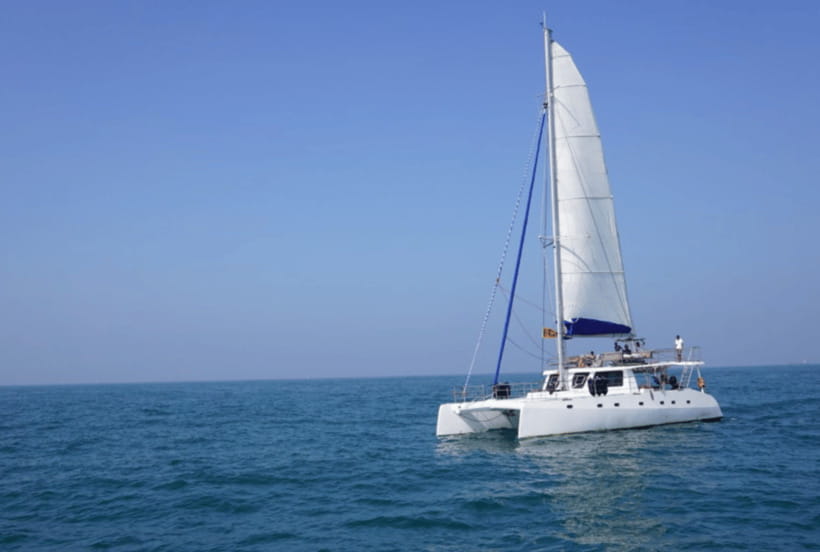 Mirissa: Sunset Catamaran Sailing Boat Tour with Dinner - Who will enjoy this evening most