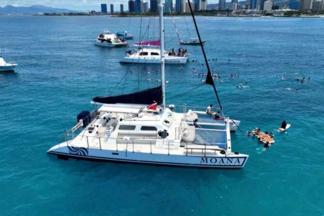Moana’s Waikīkī Grand Guided Turtle Snorkel & Sailing Adventure - What happens at Turtle Canyon