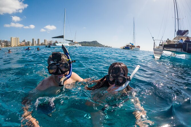 Moana’s Waikīkī Grand Guided Turtle Snorkel & Sailing Adventure - Who should book this snorkel sail?