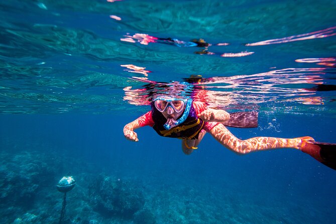 Molokini Snorkel and Performance Sail: Mā’alaea Harbor - Booking timing and cancellation rules