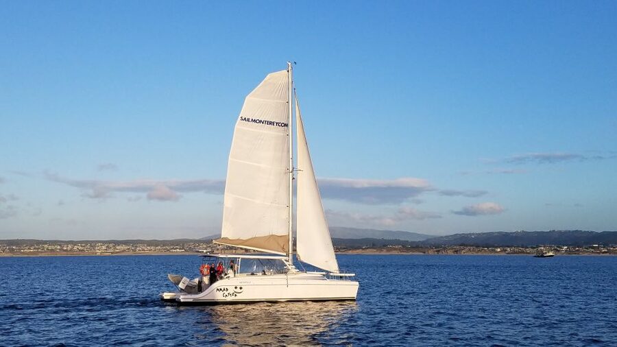 Monterey: Catamaran Sailing Cruise - Key points to know before sailing