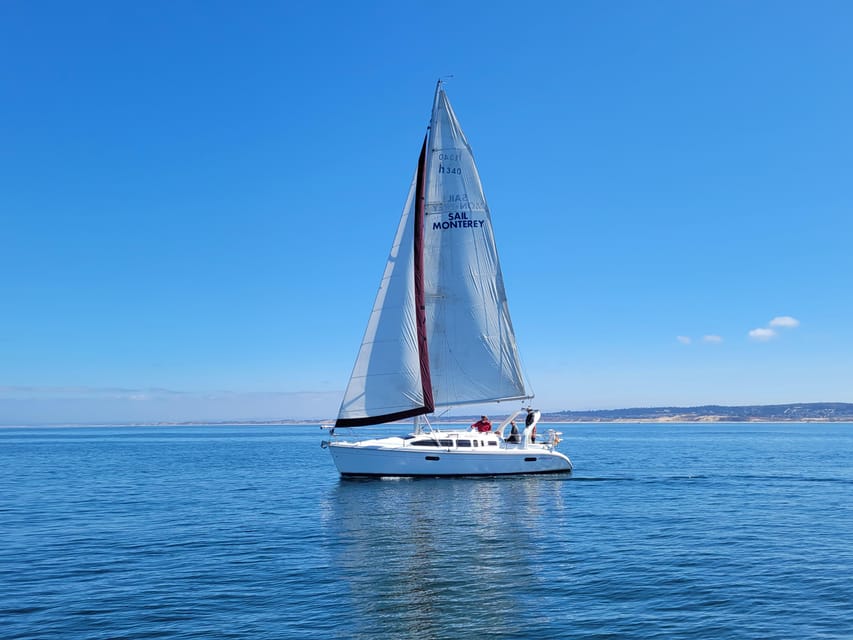 Monterey: Private Whale Watching/Sailing Tour for 6 - A private morning on Monterey Bay