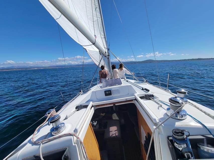 Monterey: Private Whale Watching/Sailing Tour for 6 - Booking details worth handling early