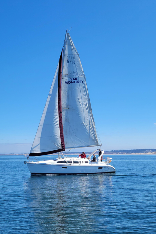 Monterey: Private Whale Watching/Sailing Tour for 6 - Why the private format matters