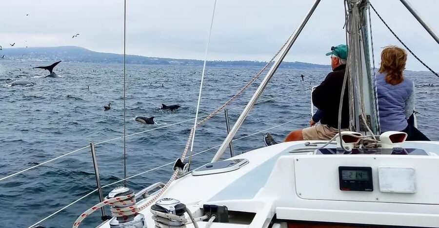 Monterey: Private Whale Watching/Sailing Tour for 6 - Sailing instead of a simple boat ride