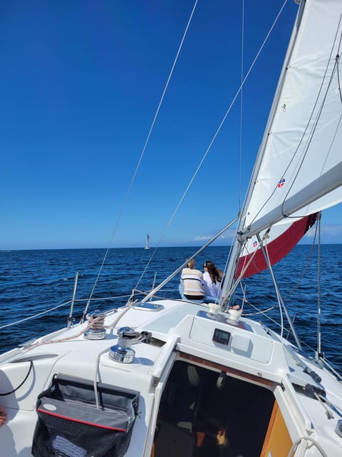 Monterey: Private Whale Watching/Sailing Tour for 6 - Drinks, snacks, and what they add