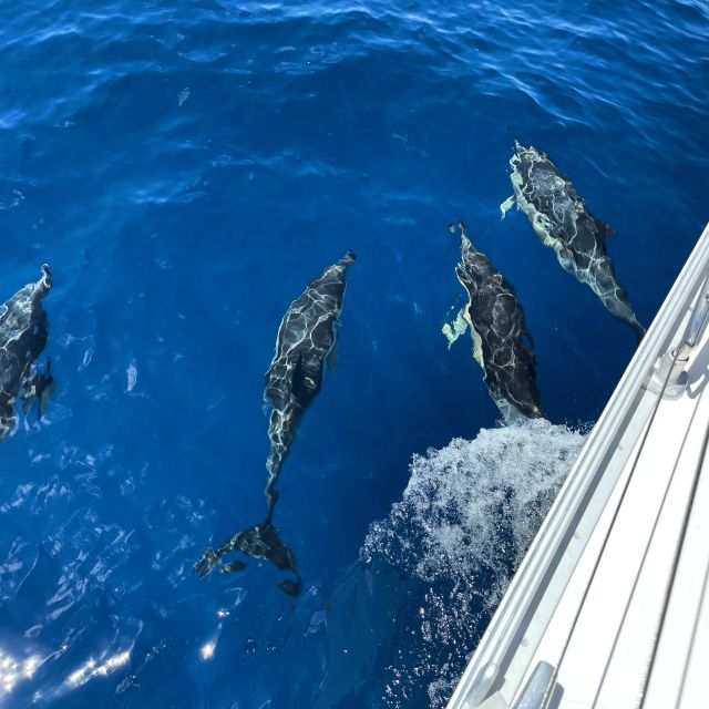 Morro Jable: Sailing Boat Excursion with Food and Drinks - Seeing Fuerteventura from the water