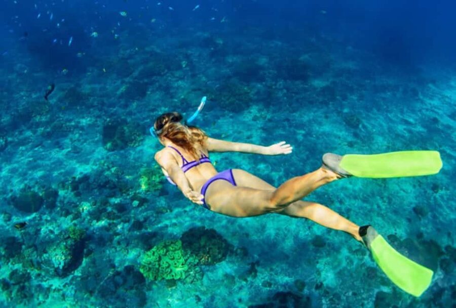 Nassau: Catamaran Sail and Snorkel Tour - Finding the Boat at Paradise Island Ferry Terminal