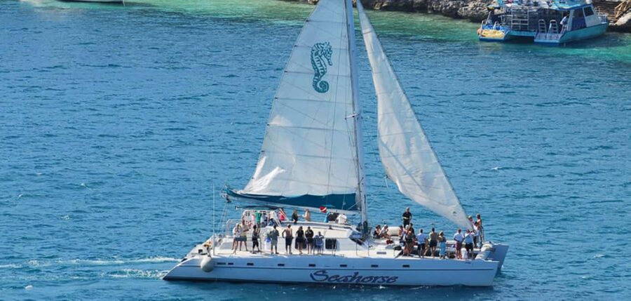 Nassau: Catamaran Sail and Snorkel Tour - What to Expect at the Snorkeling Stop