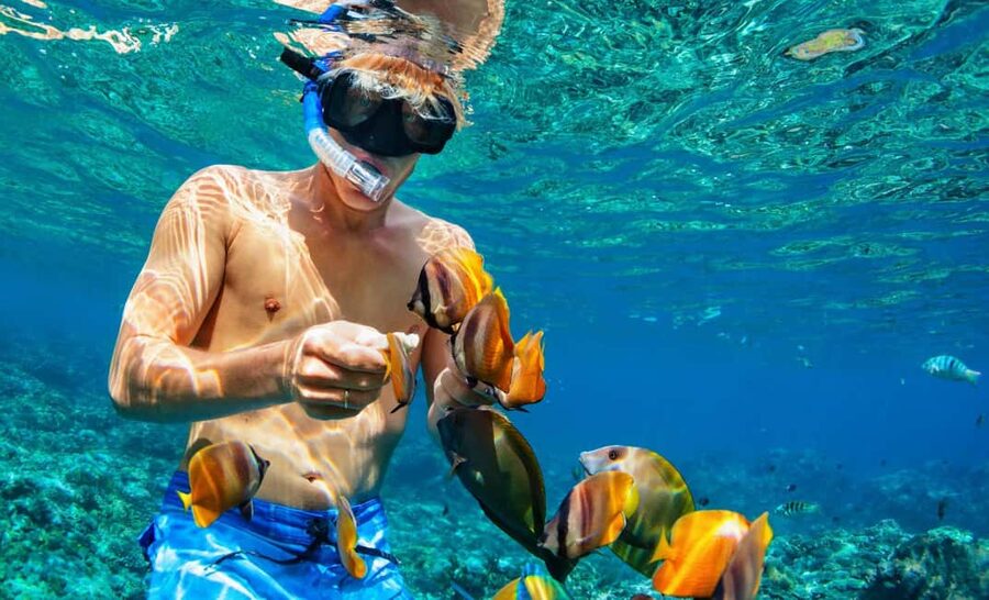 Nassau: Catamaran Sail and Snorkel Tour - Should You Book the Catamaran Sail and Snorkel Tour?