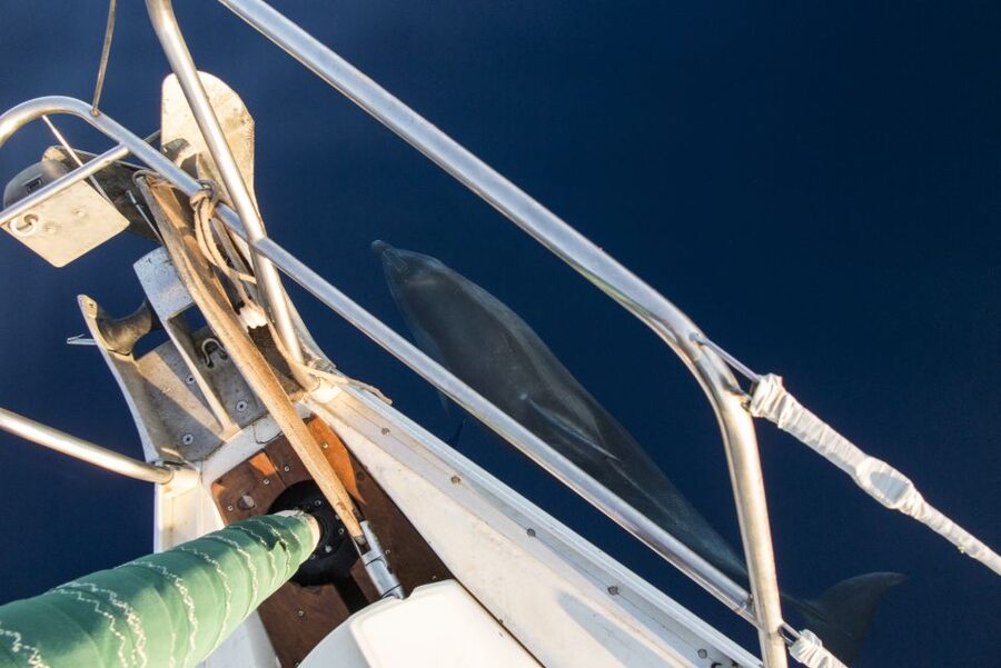 Naxos: Full-Day Small Cyclades Sailing Cruise - What the crew adds to the day