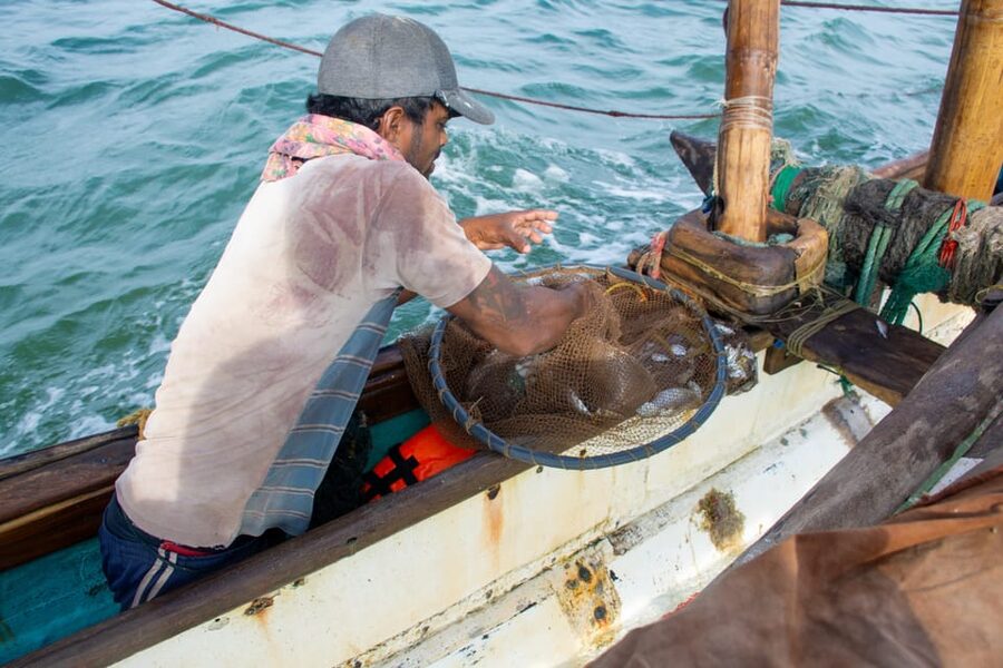 Negombo: Catamaran Sailing with Traditional Fishermen - What the $132 private price really buys