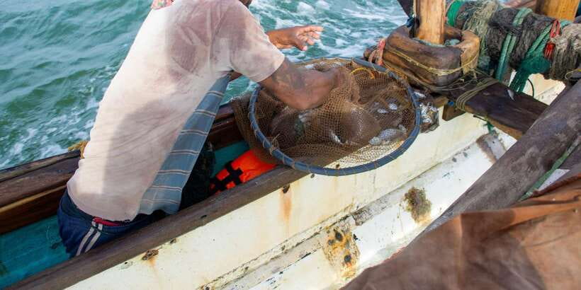 Negombo: Catamaran Sailing with Traditional Fishermen - Practical tips for a better outing