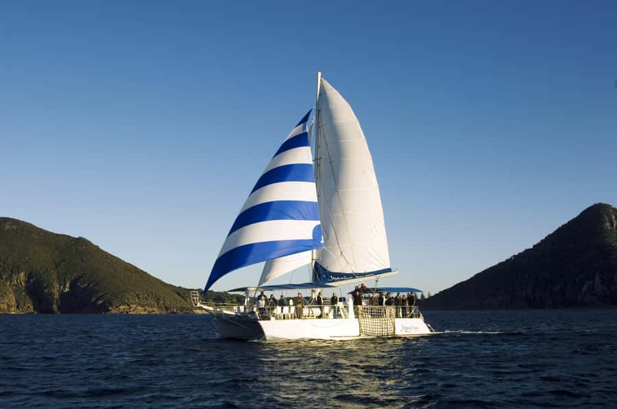 Nelson Bay: Dolphin Watch Cruise and Sail - The sail back to Nelson Bay