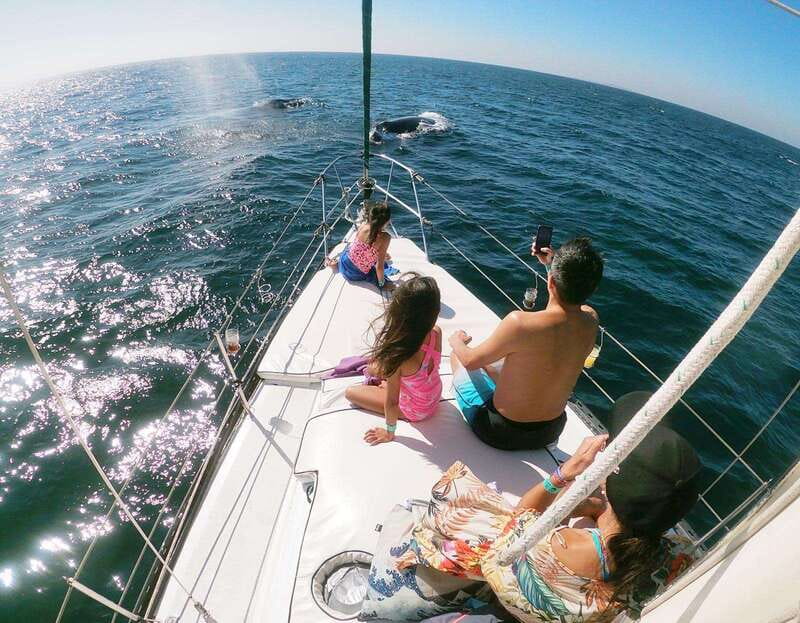 Nuevo Vallarta: Whale Watching by Sailboat Tour - Why a Sailboat Changes the Whale-Watching Experience