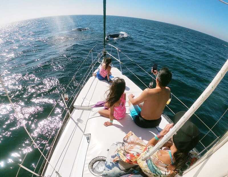 Nuevo Vallarta: Whale Watching by Sailboat Tour - Guide Language and the Onboard Feel
