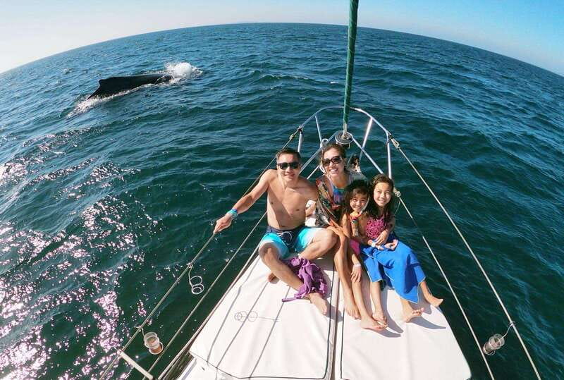 Nuevo Vallarta: Whale Watching by Sailboat Tour - Meeting at the Nuevo Vallarta Public Pier