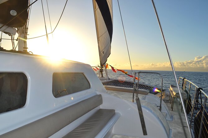 Oahu's Waikiki Coast: Moana’s Sunset Cocktail Sail - Wildlife: a welcome bonus, not a promise