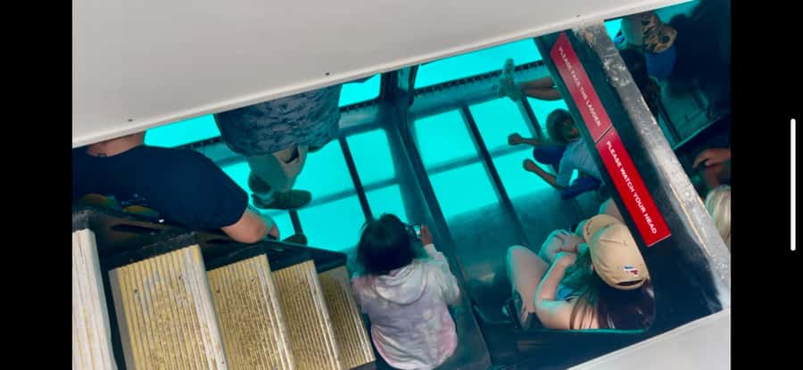 Oahu: Sunset Sail Cruise in Waikiki - How the price measures up